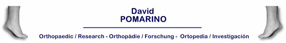 David Pomarino Orthopaedic Research